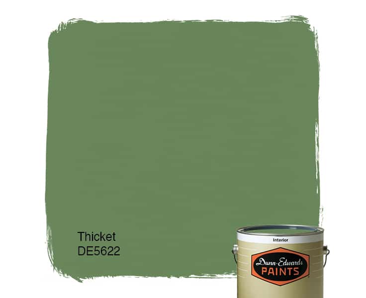 Thicket Paint Color DE5622 DunnEdwards Paints