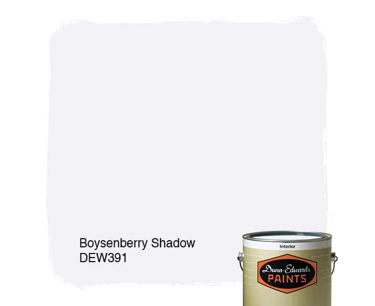 Boysenberry Shadow Paint Color DEW391 DunnEdwards Paints
