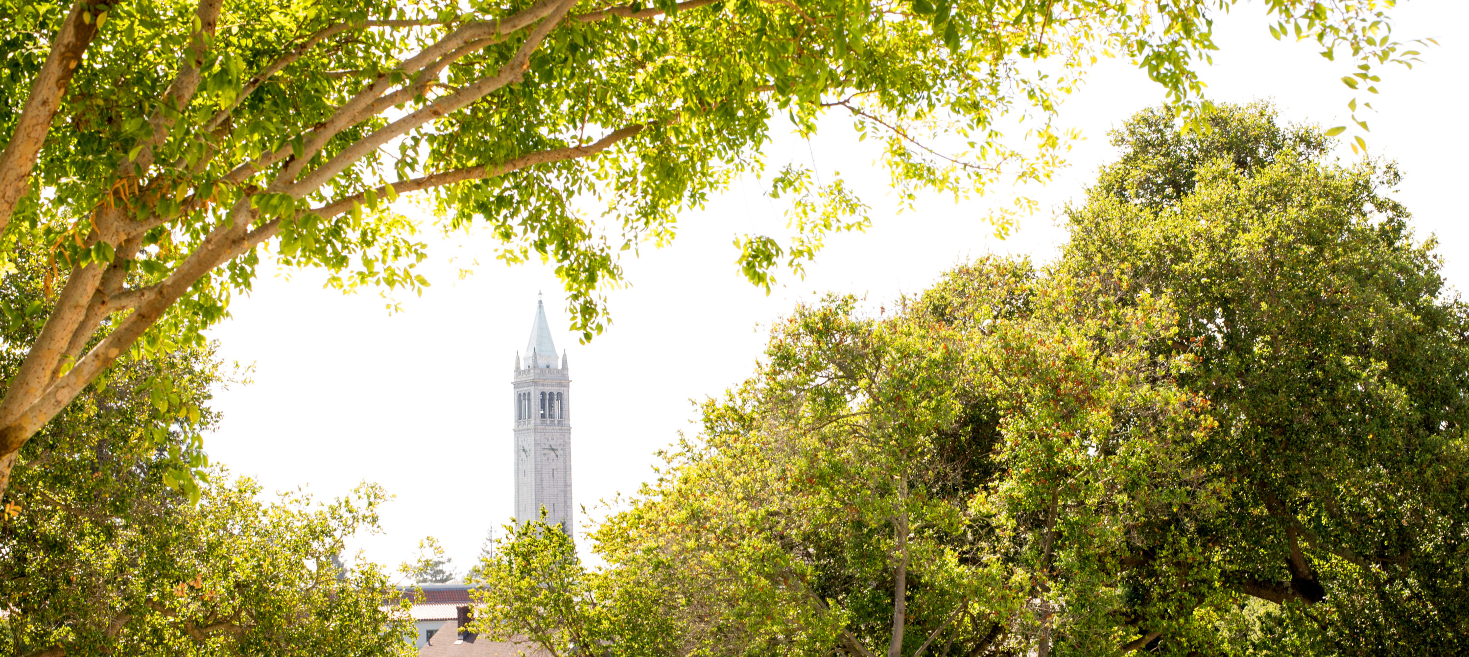 Berkeley Fall 2023 Schedule Admissions - Phd Program - Berkeley Haas