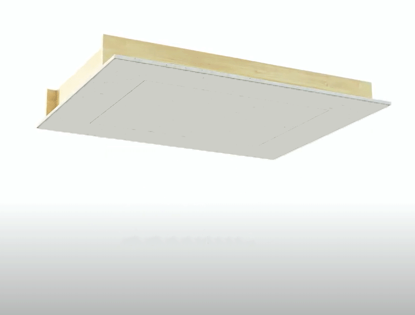 Put a TV in your ceiling Haas Entertainment