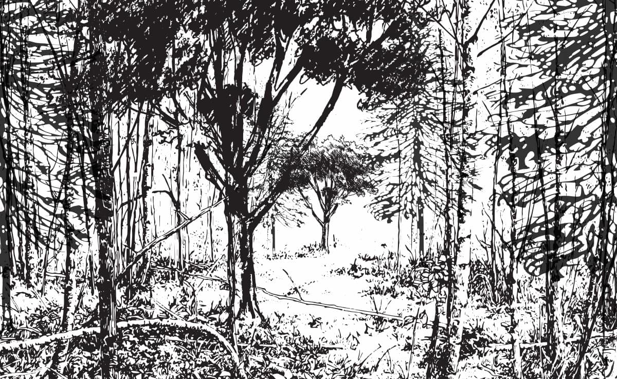 Arkansas Land for Sale Habitat Land Company Searcy, AR