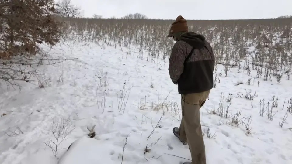 About Us Habitat Land Company