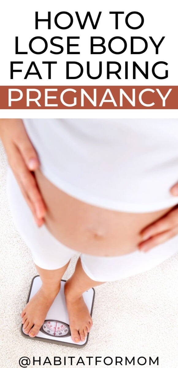How to Lose Body Fat During Pregnancy Habitat for Mom