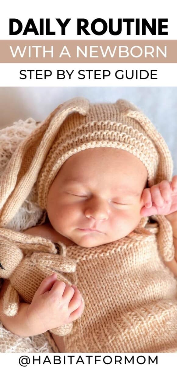 How to Start and Maintain a Daily Routine for Your Newborn Habitat