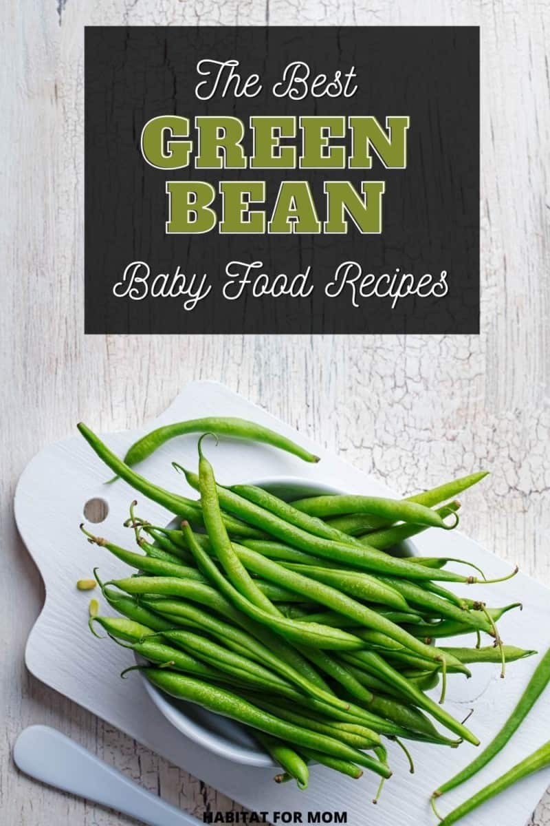Simple Green Bean Baby Food Recipe Habitat for Mom