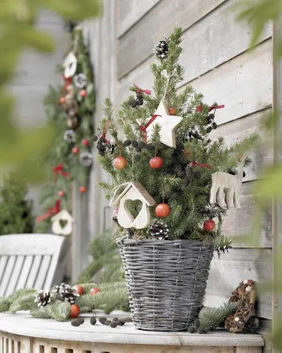 25 Beautiful Christmas Trees for Small Spaces Habitat for Mom