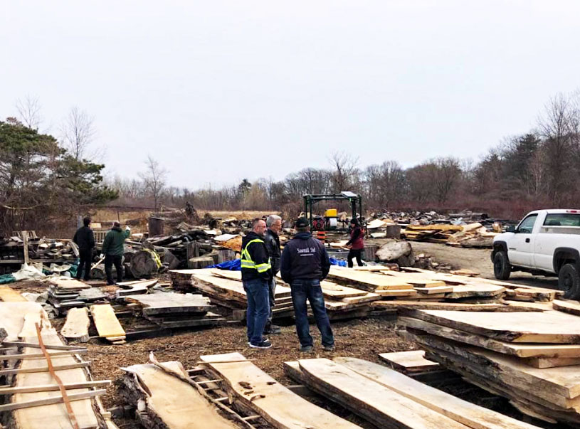 Keeping it Green with Sawmill Sid ReVive Habitat HM