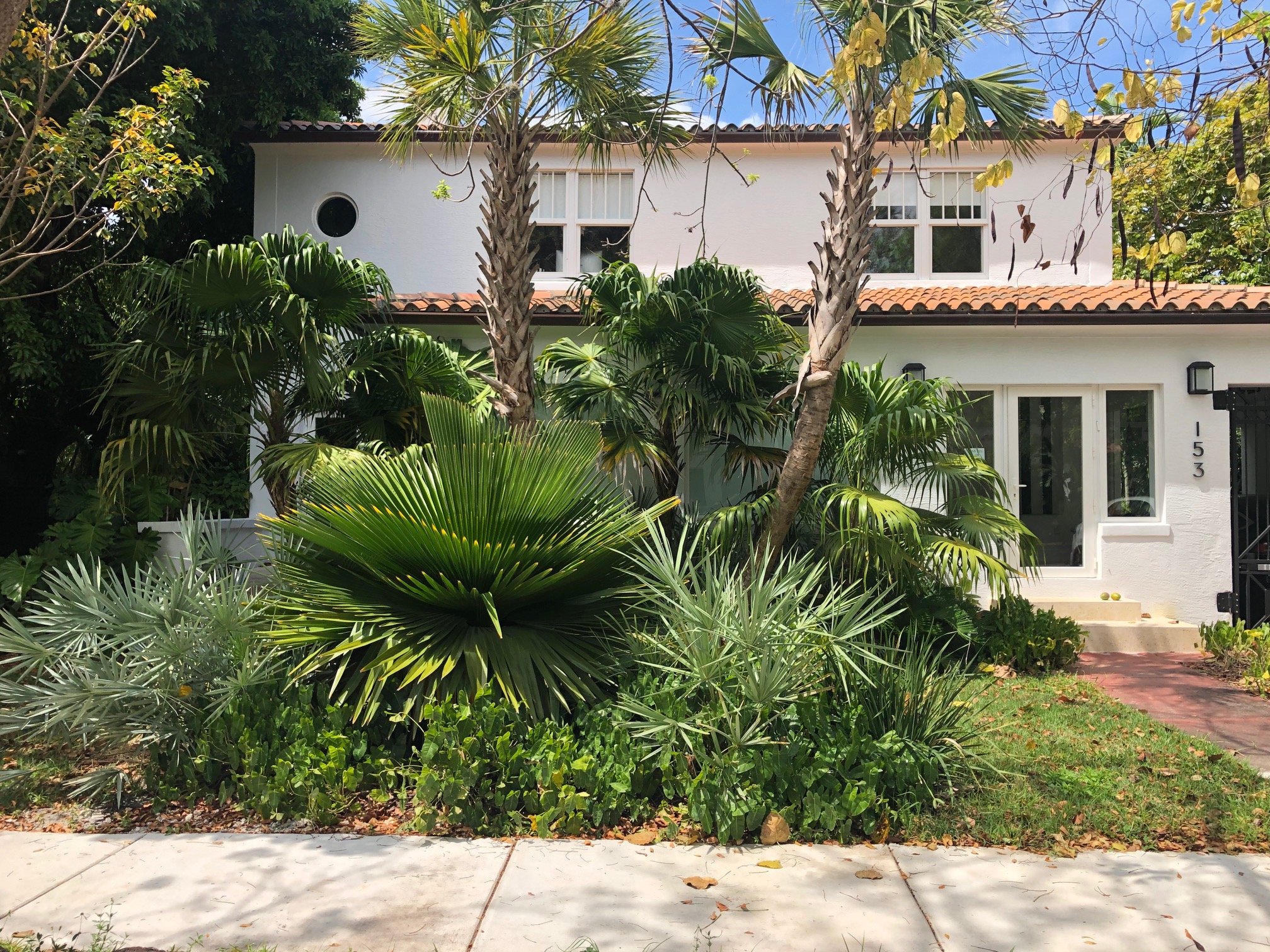 Buena Vista Garden Miami, FL Habitat