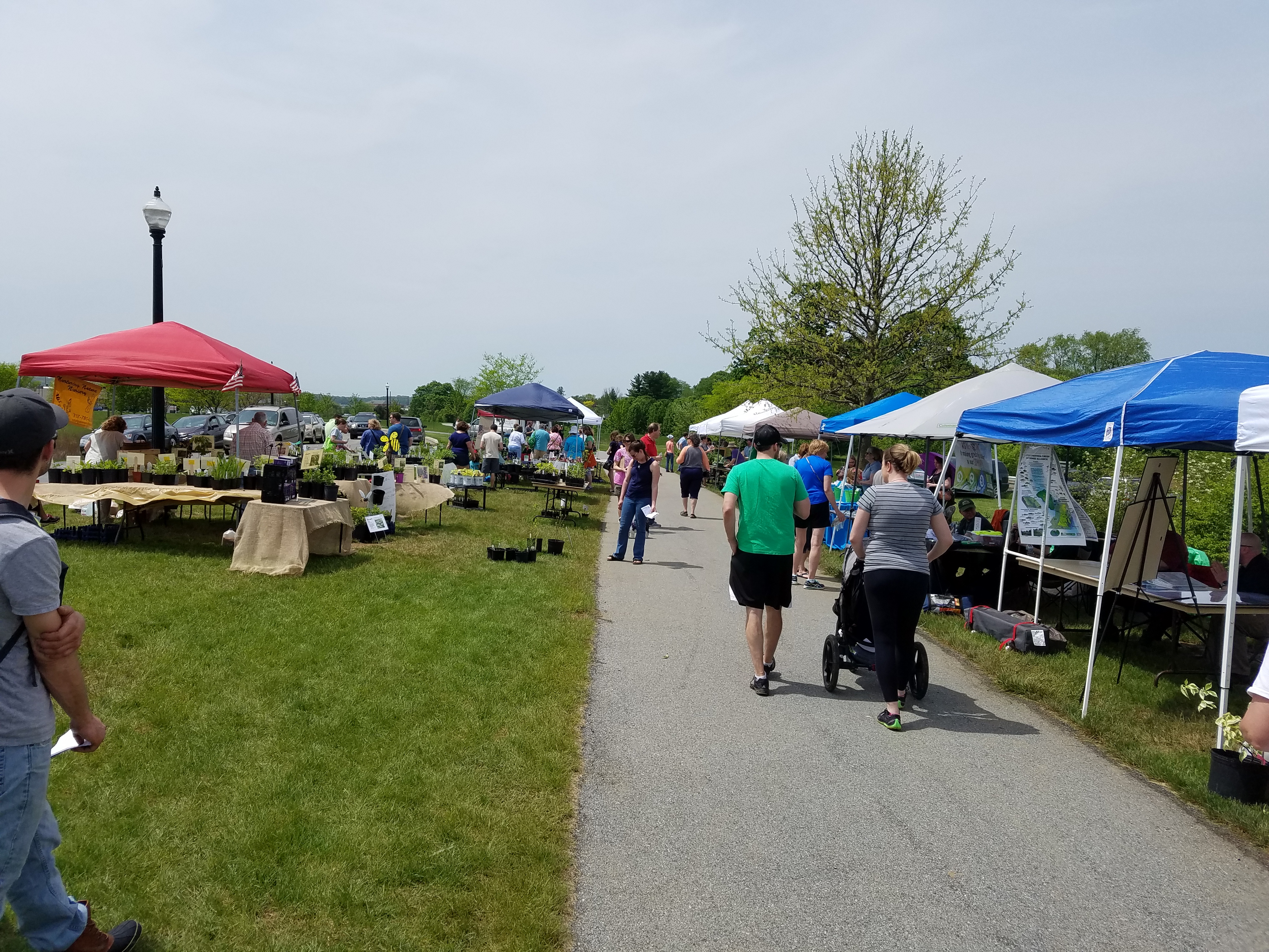20170429_131044 Lancaster Native Plant & Wildlife Festival