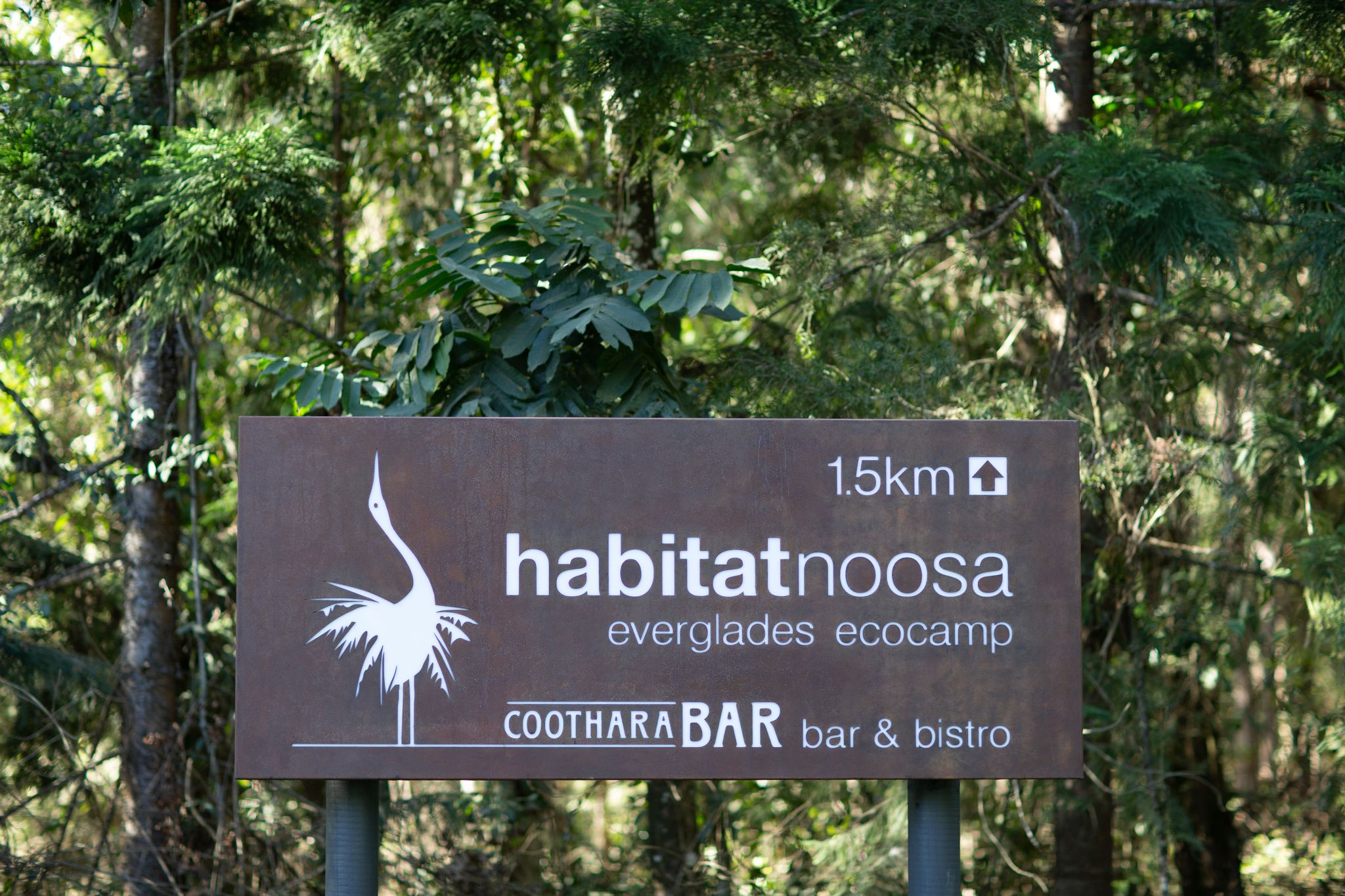 The Weekend Edition Habitat Noosa