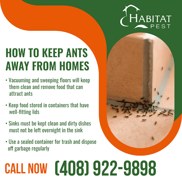 Ant Control In The Bay Area Habitat Pest