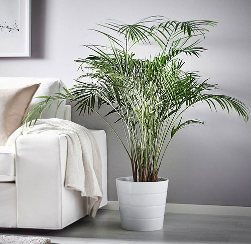 Porte Plante Exterieur Ikea almoire
