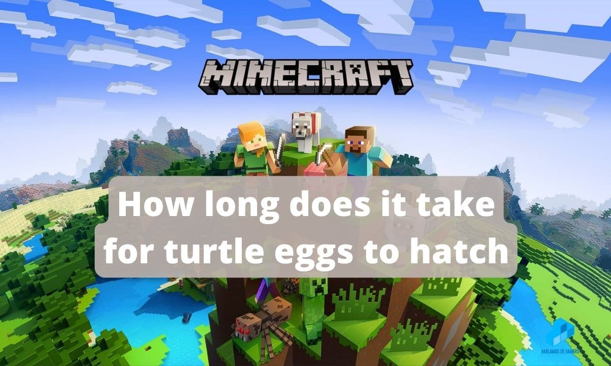 How long does it take for Turtle Eggs to Hatch in Minecraft Short