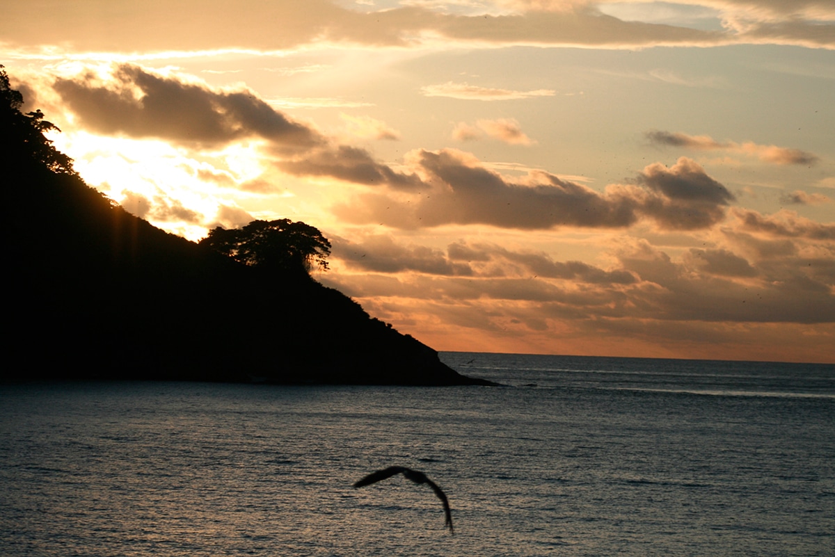 Isla del Coco historia, ubicación, clima, turismo, flora, fauna y más