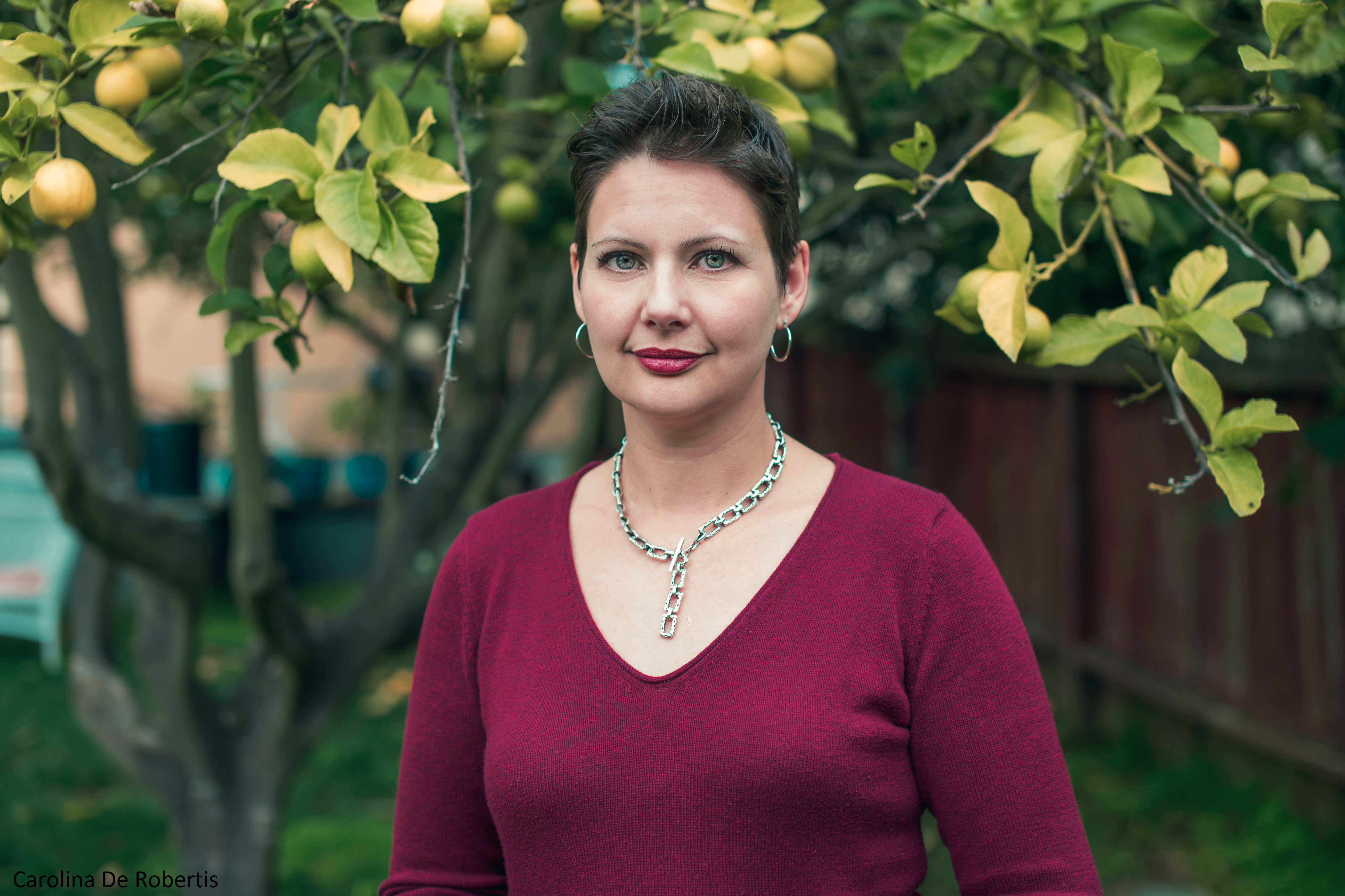 Radical Hope Letters of Love and Dissent in Dangerous Times by