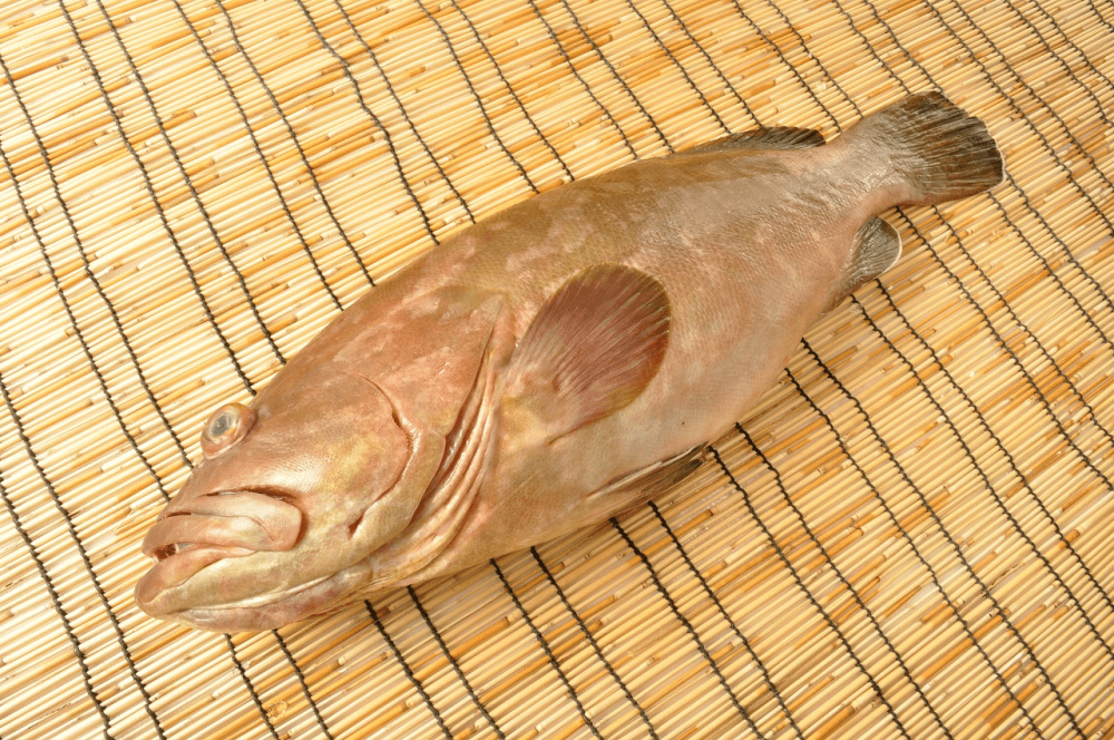 クエ 食材図鑑