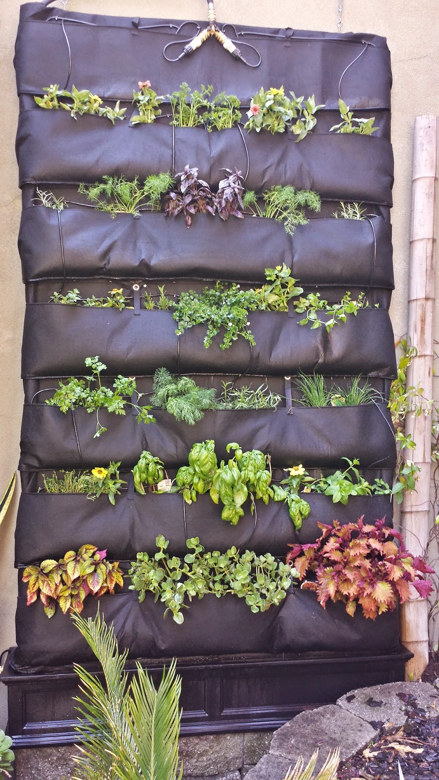 DIY Hydroponic System Grows Herbs On The Wall Hackaday