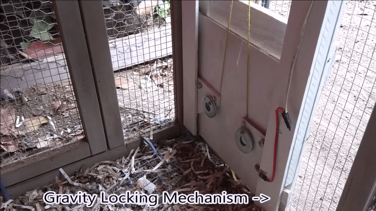 Raspberry Pi Controlled Chicken Door Hackaday