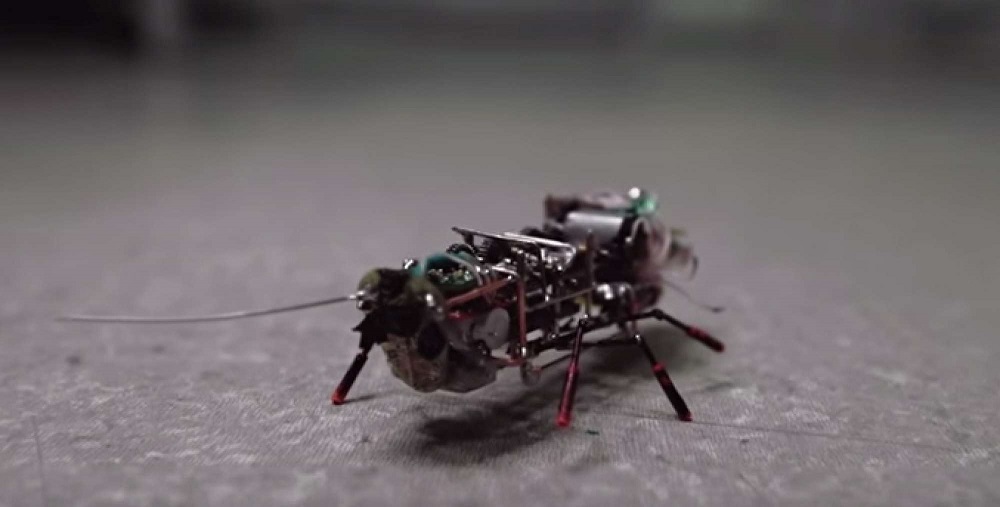 Robotic Cockroach Built By Russian University Hackaday