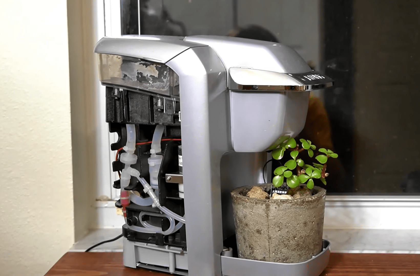 Coffee Maker Gives Plants An Automatic Drip Hackaday
