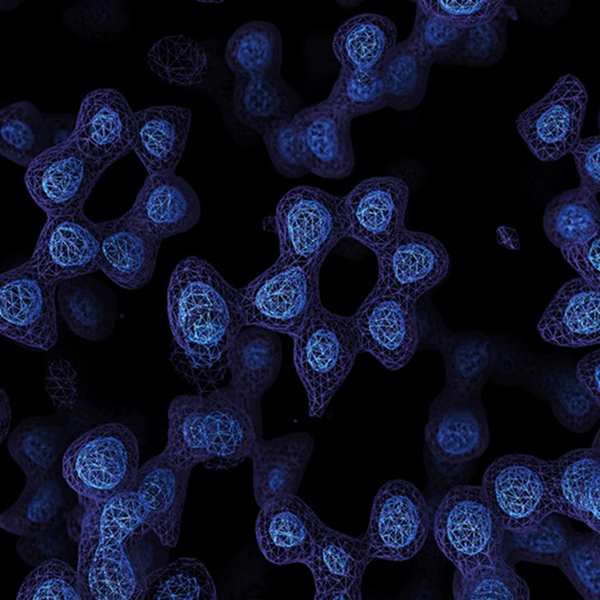 Atom Through A Microscope