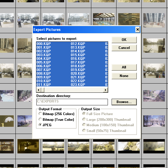 Legacy Digital Photos, With a Side of Murphy’s Law MSI Net, Inc