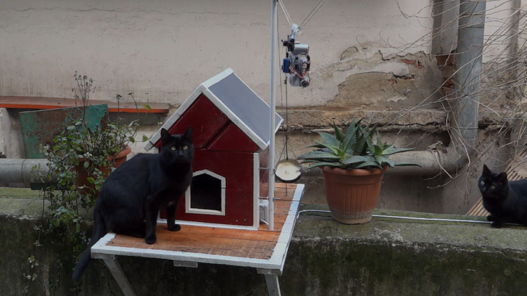 Stray Cat Shelter Is Nicer Than Our First Apartment Hackaday