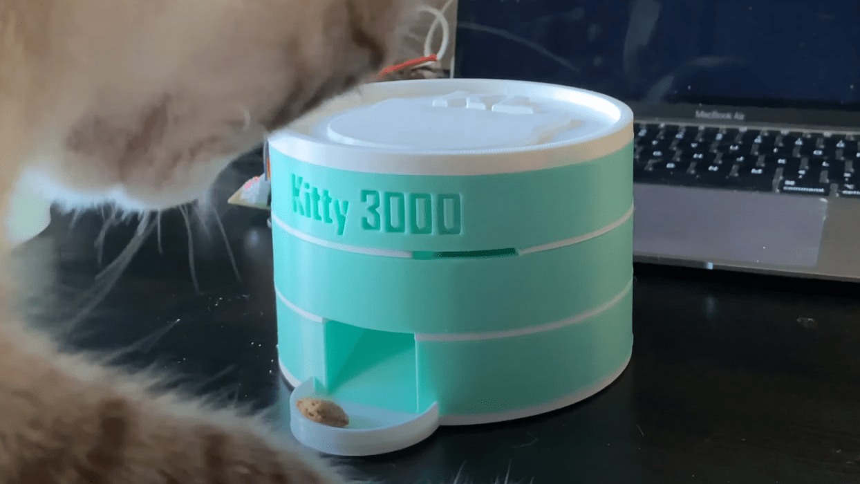 Local IOT Cat Treat Dispenser