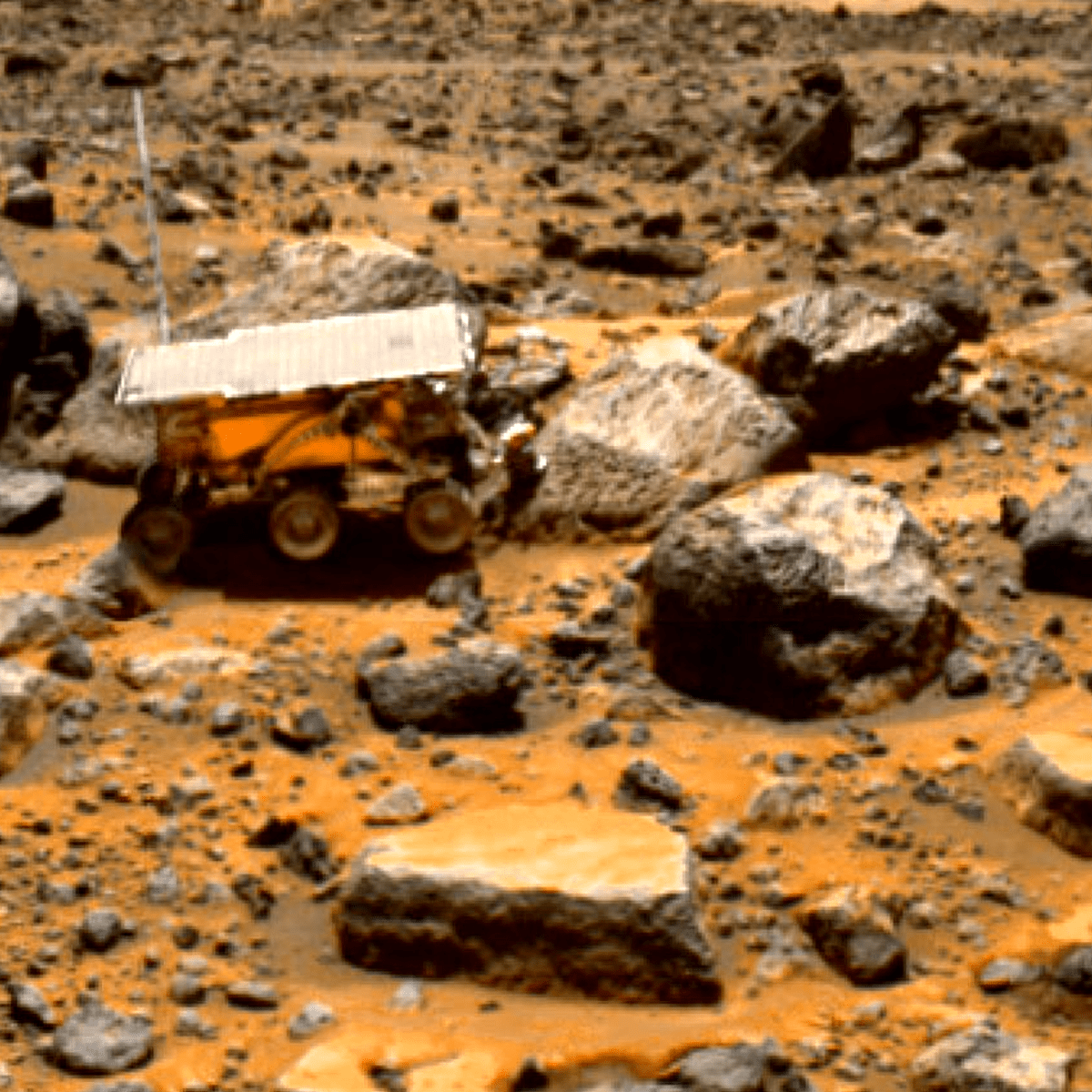 The Freedom to Fail MSI Net, Inc. & mCloudServ