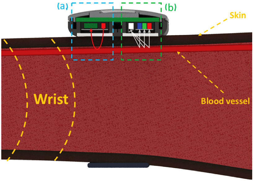 Perfecting the Pulse Oximeter MSI Net, Inc. & mCloudServ