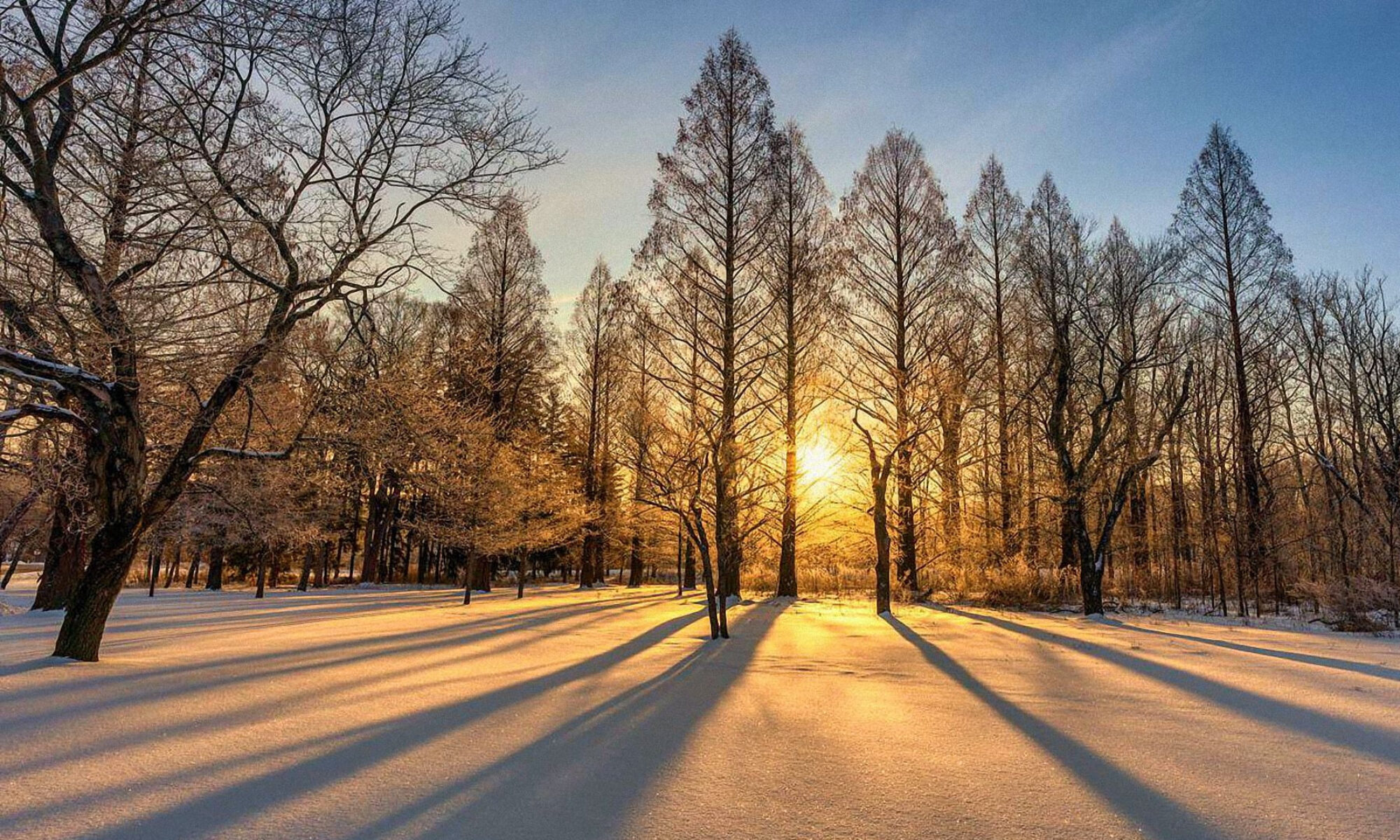 Contact Hackamore Woods Homeowners Association