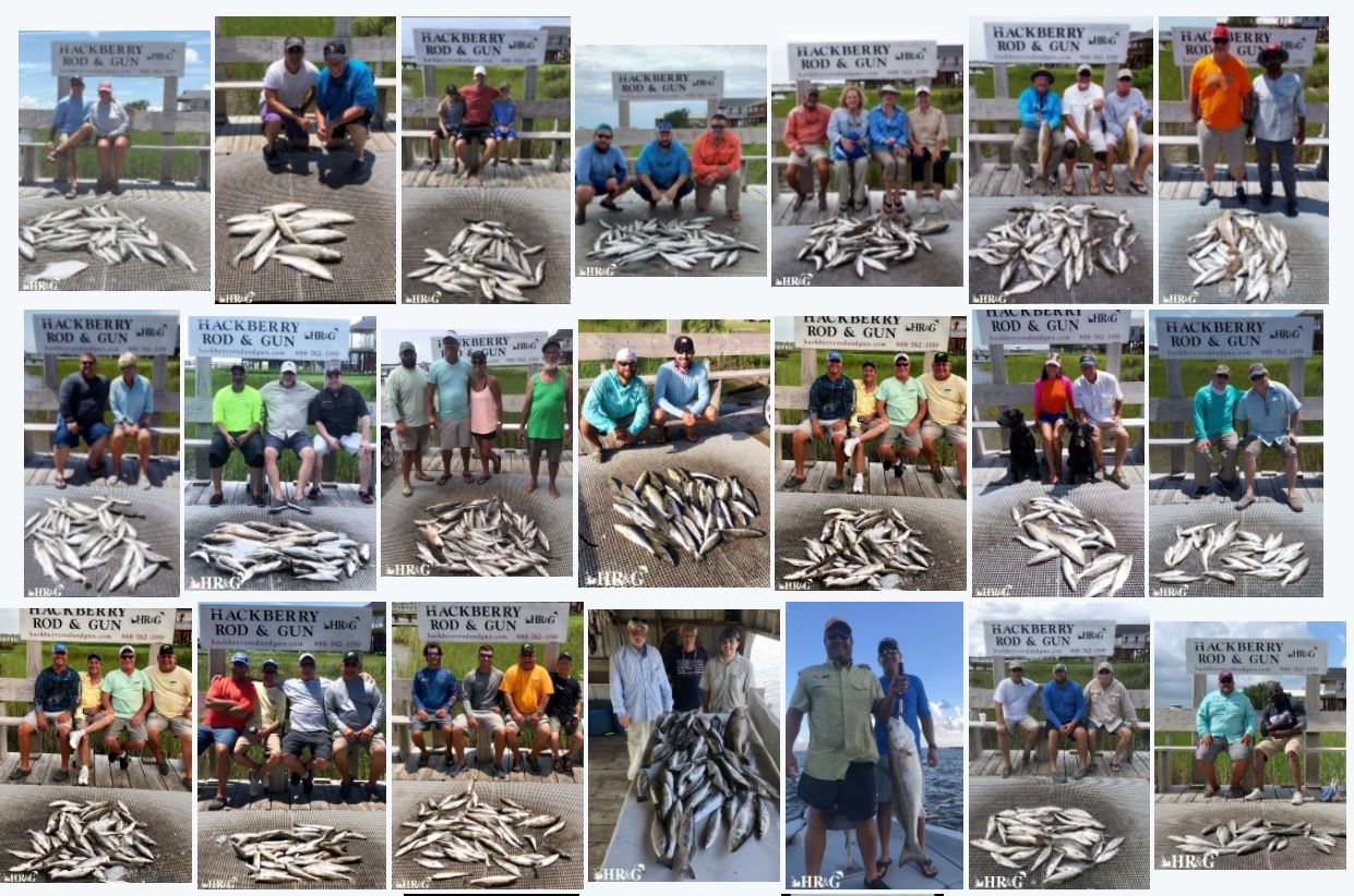 Hackberry Rod & Gun "ya shoulda been here yesterday"