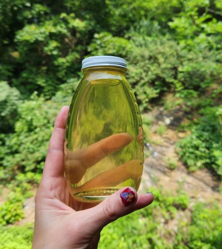 Pennslyvania Black Locust Honey w/Shipping Already Included in the Price Hackenberg Apiaries