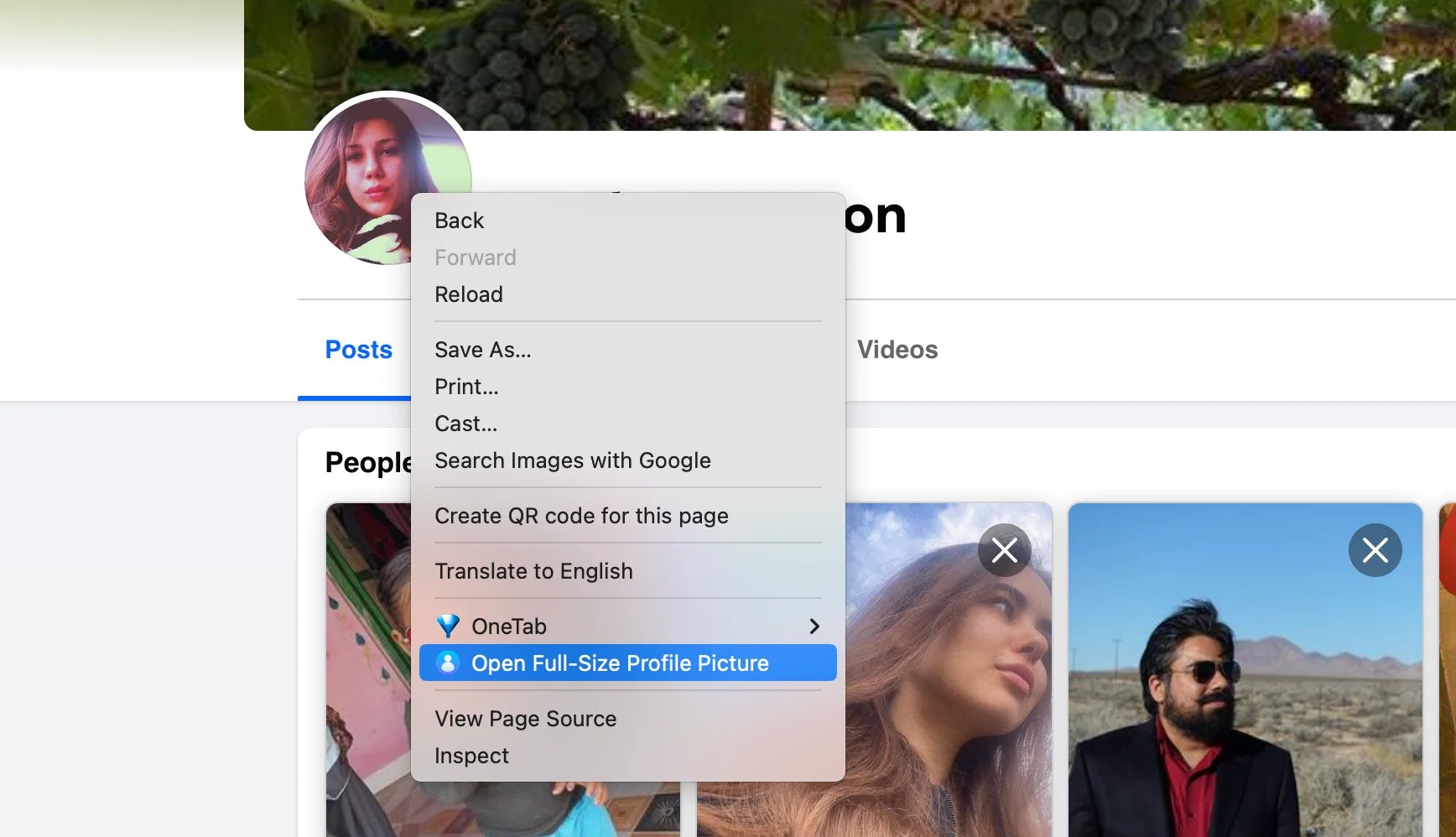 Facebook DP Viewer View Locked Facebook Profile Picture