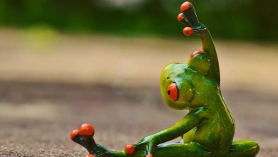 Why does the time series training defeat Fine Tuning LLMS for time series tasks?