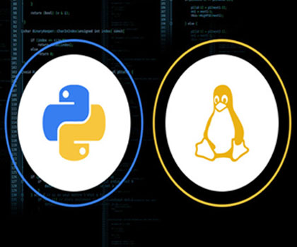 Ethical Hacking Training Course Online - HackersOnlineClub