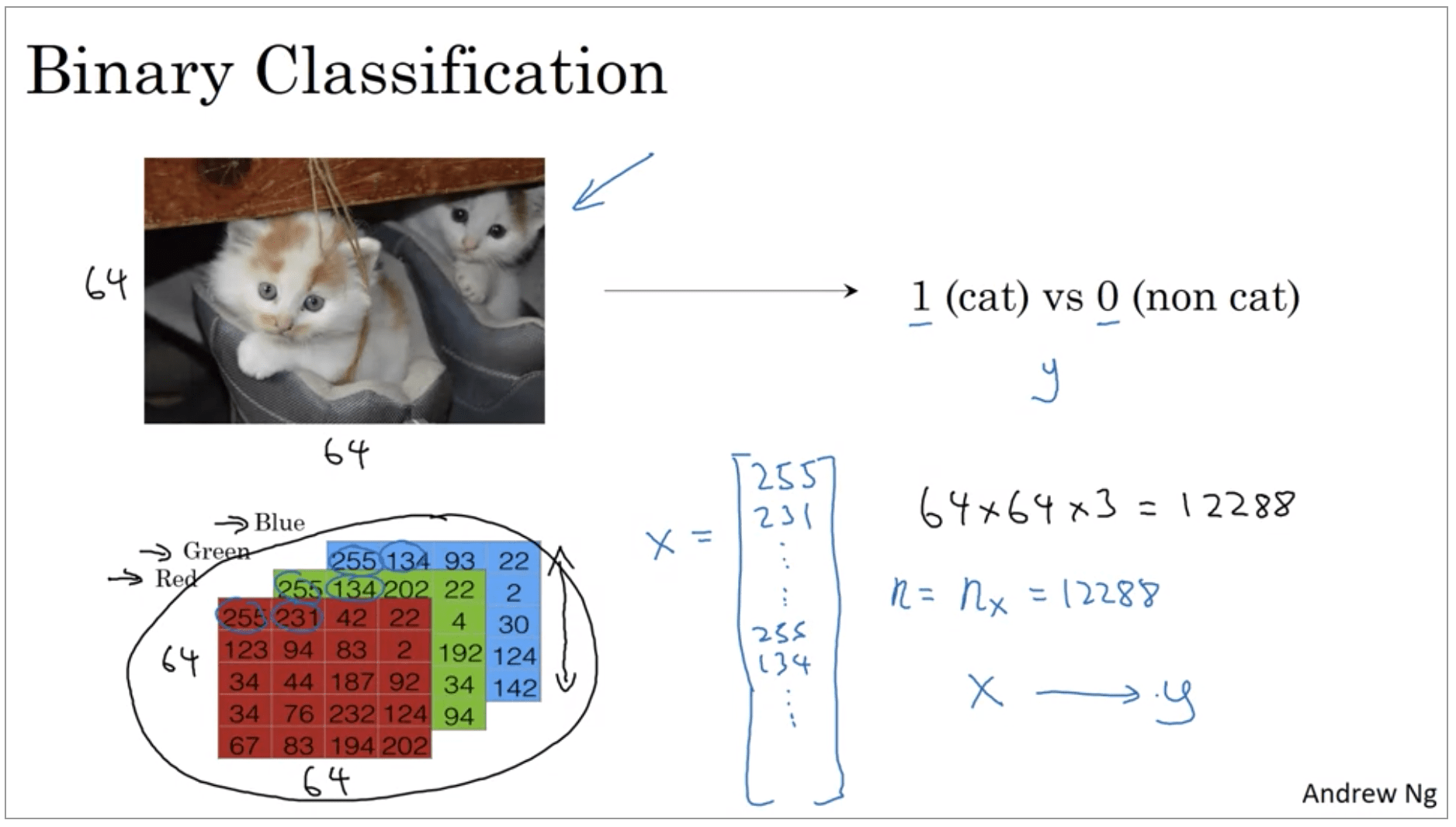 Binary Classification Flow Chart