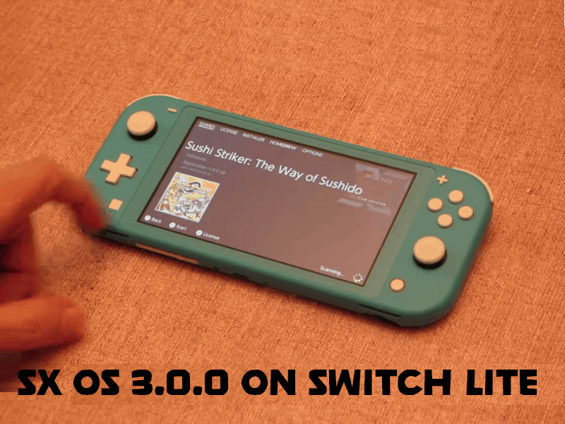 SX OS 3.0.0 Shown Off...For Nintendo Switch Lite