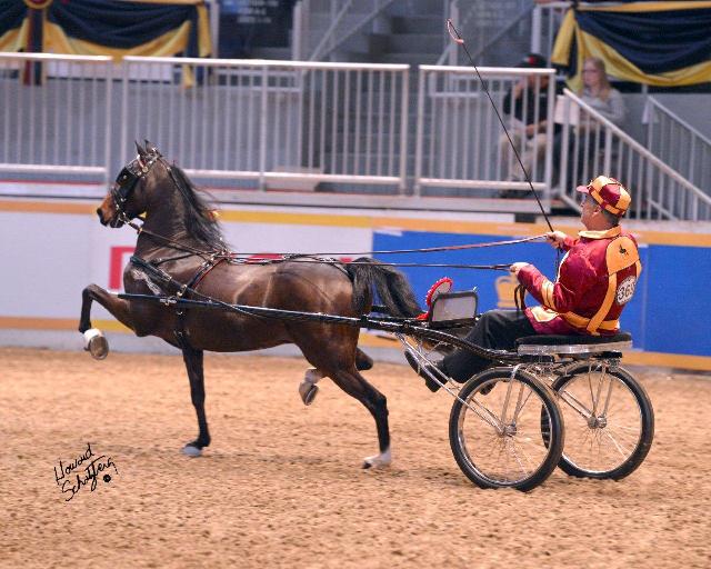 The Canadian Hackney Society