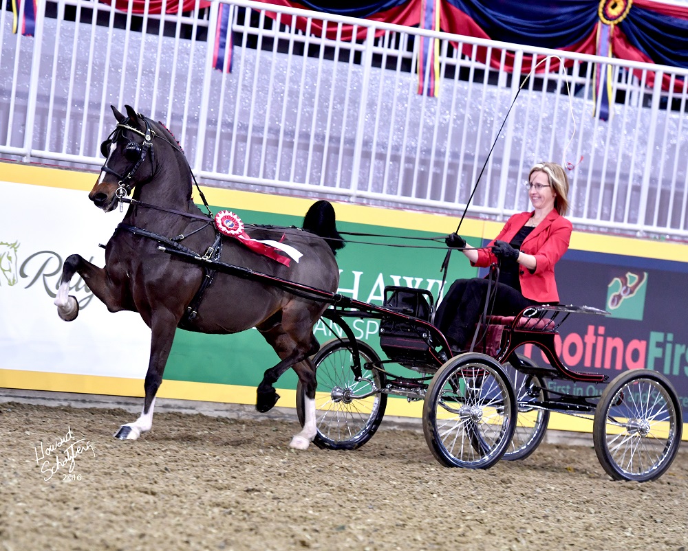 The Canadian Hackney Society