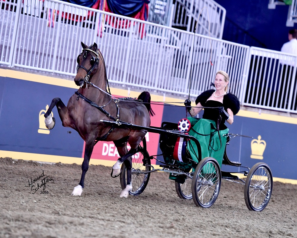 The Canadian Hackney Society