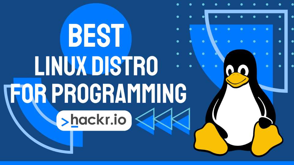Best Linux Distro for Programming Top 6 Ranked [2022]