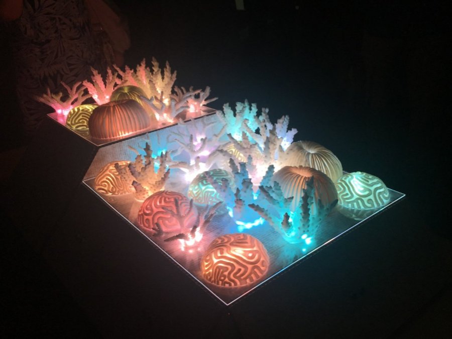 Rainbow Coral Interactive Art Arduino Project Hub