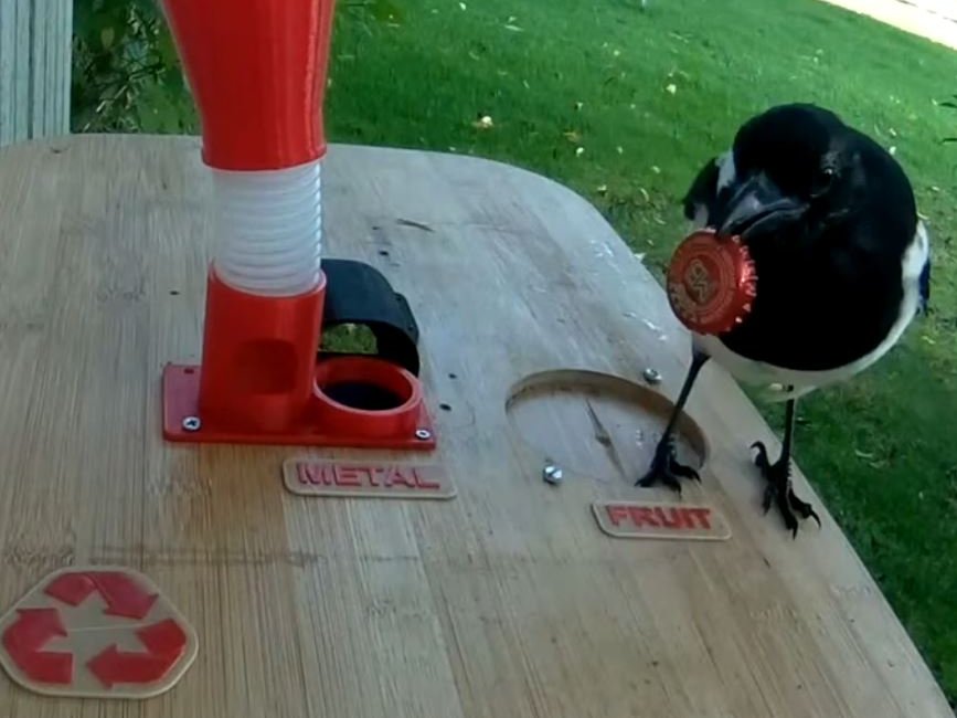 Training Wild Birds to Trade Litter for Food Hackster.io