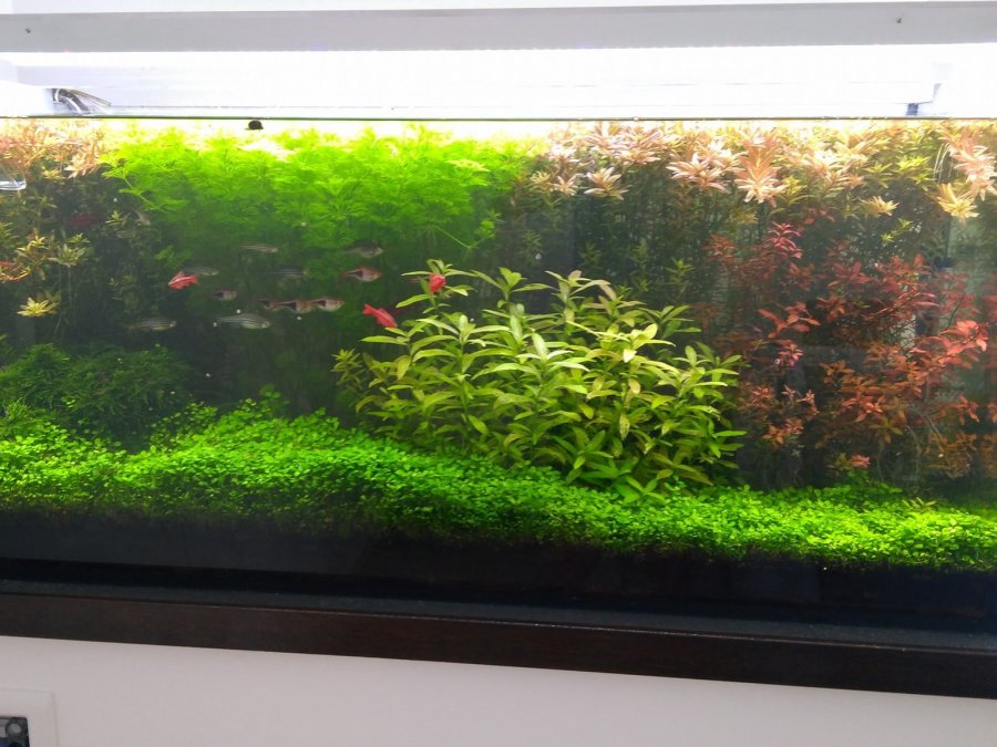 Aquarium controller Arduino Project Hub