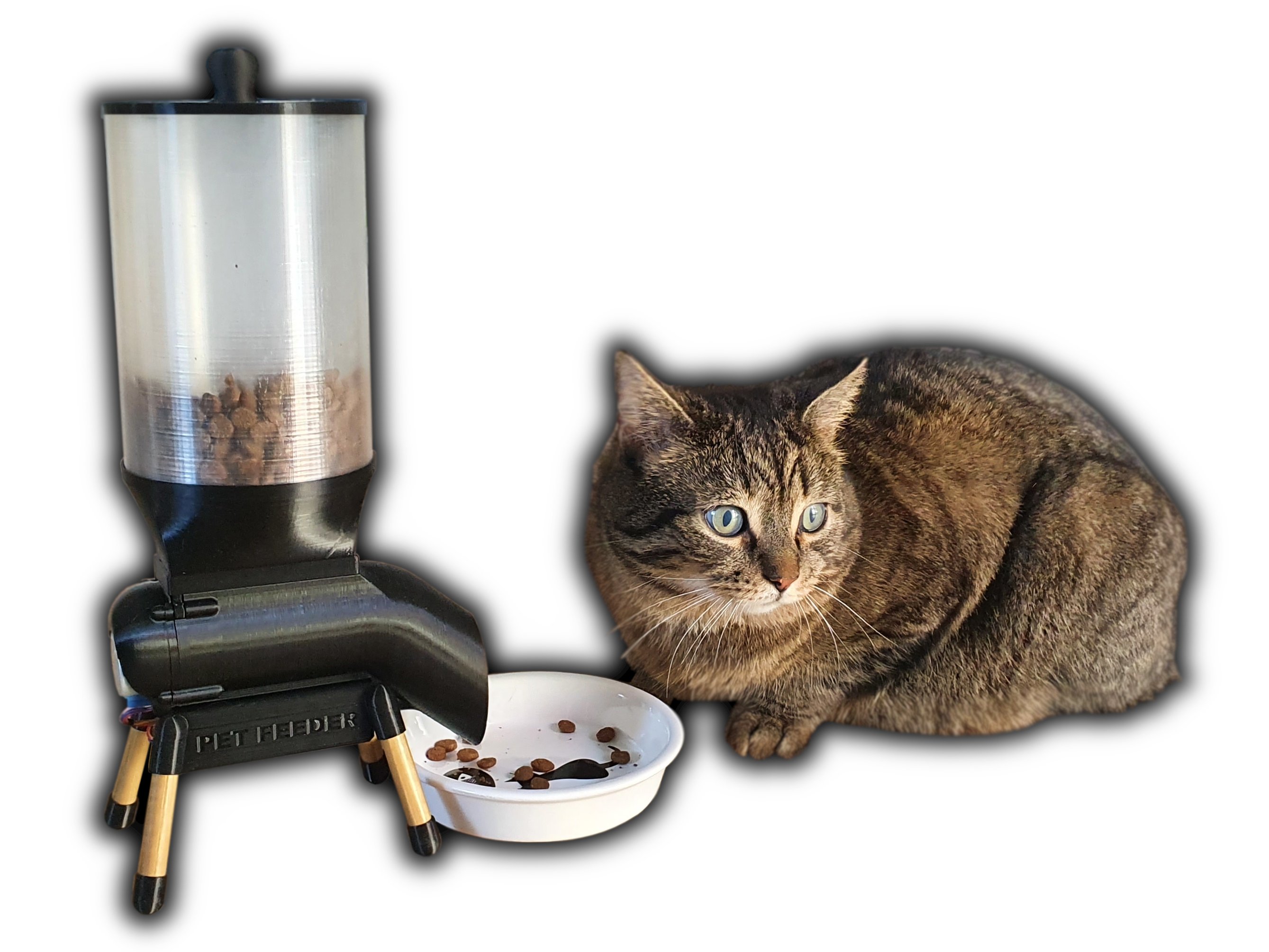 Pet Feeder with ESP8266 Hackster.io