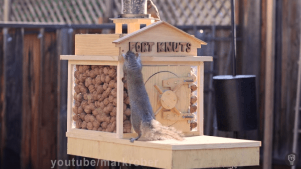 Watch Mark Rober Build (Another) Crazy Maze for Squirrels - Hackster.io
