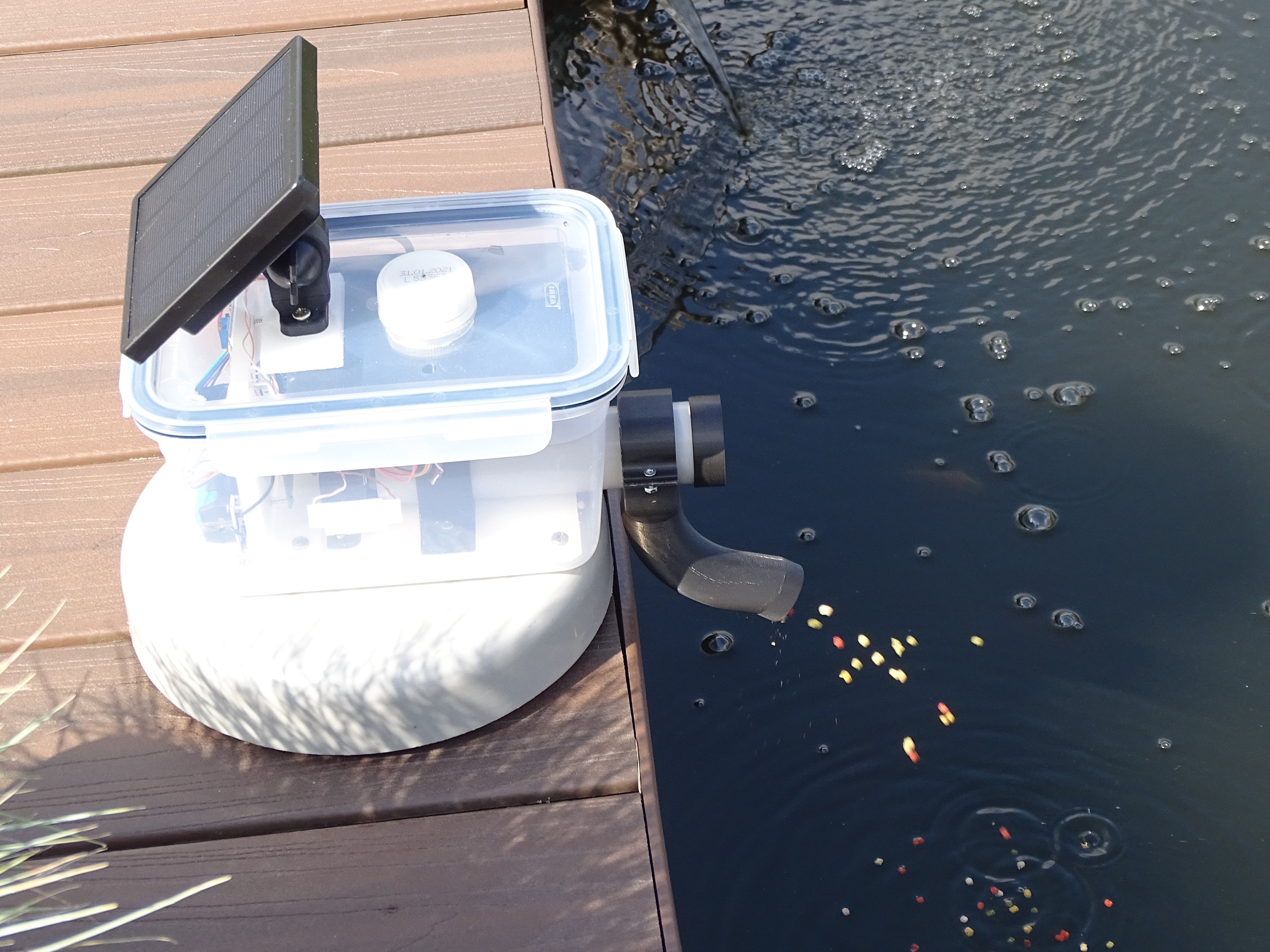 Smart Fish Feeder Hackster.io