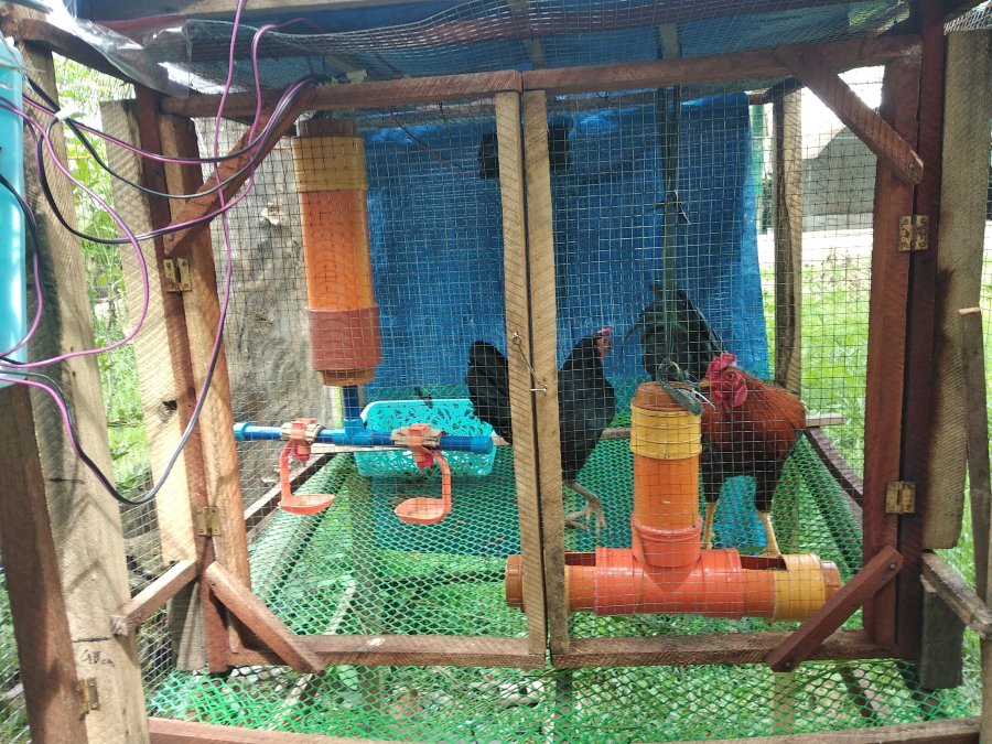 Smart Chicken Monitoring Coop Hackster.io