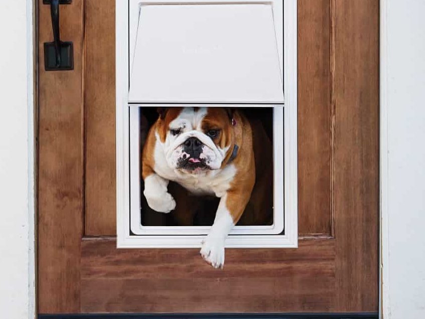 Automatic Pet Door Lock Hackster.io